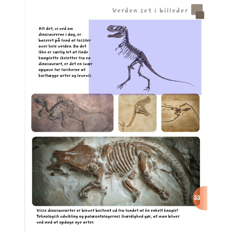 Bog: Dinosaurer og andre øgler fra fortiden