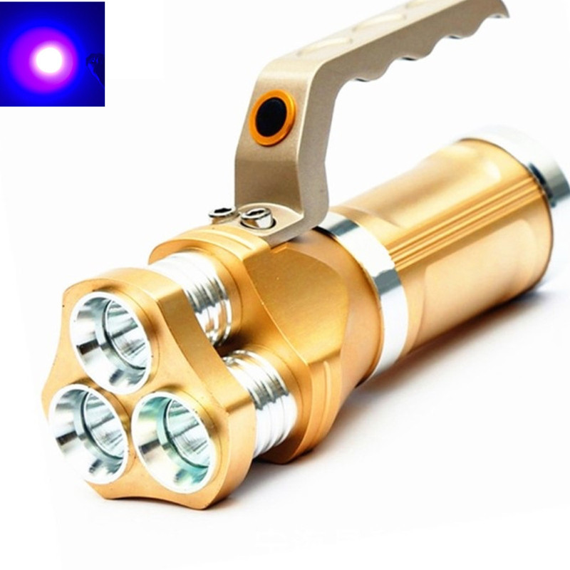 Amber Eye Gold - 30W