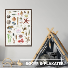 Bøger & Plakater
