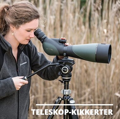 Teleskopkikkert